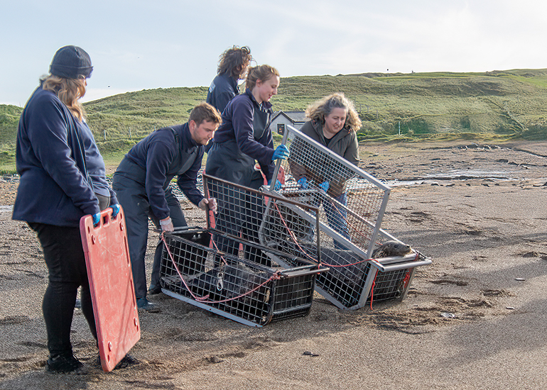 Seal Release - 16th April 2025