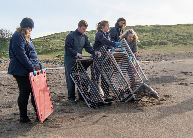 Seal Release - 16th April 2025
