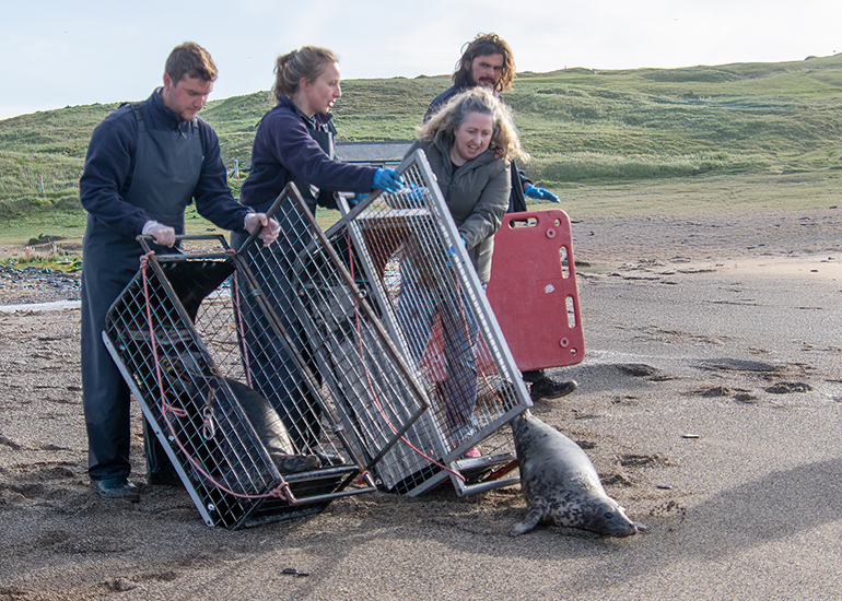 Seal Release - 16th April 2025