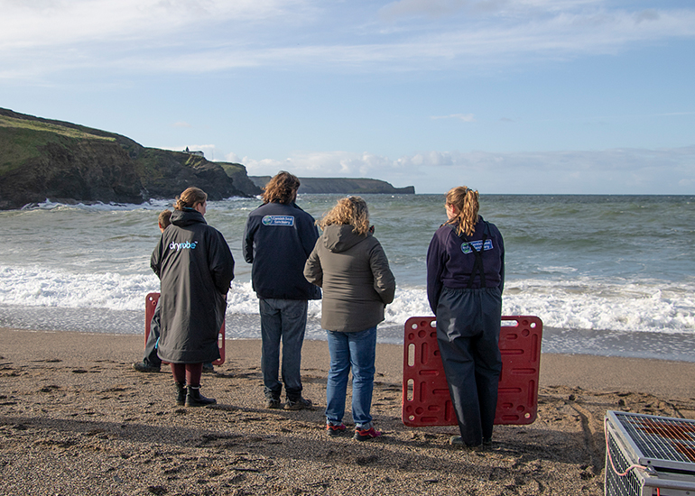 Seal Release - 16th April 2025