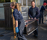 Seal Release - 16th April 2025