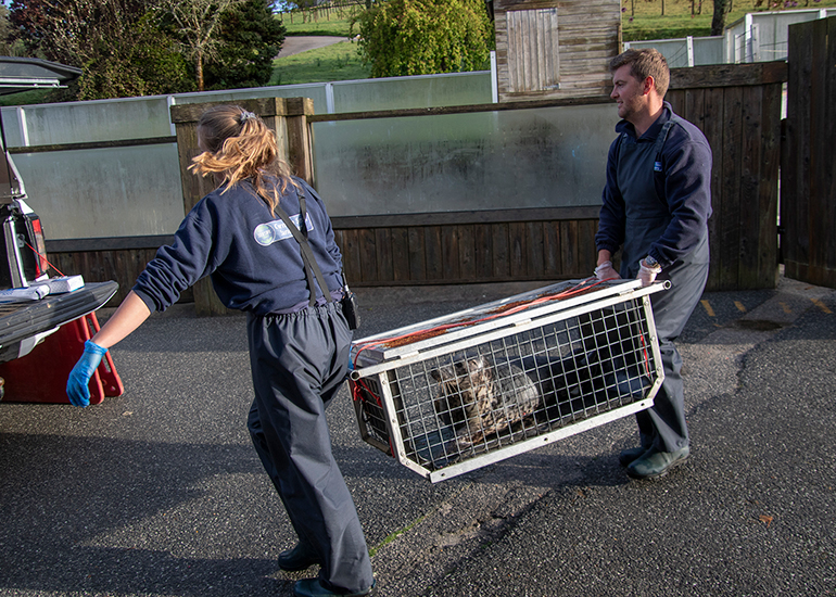 Seal Release - 16th April 2025