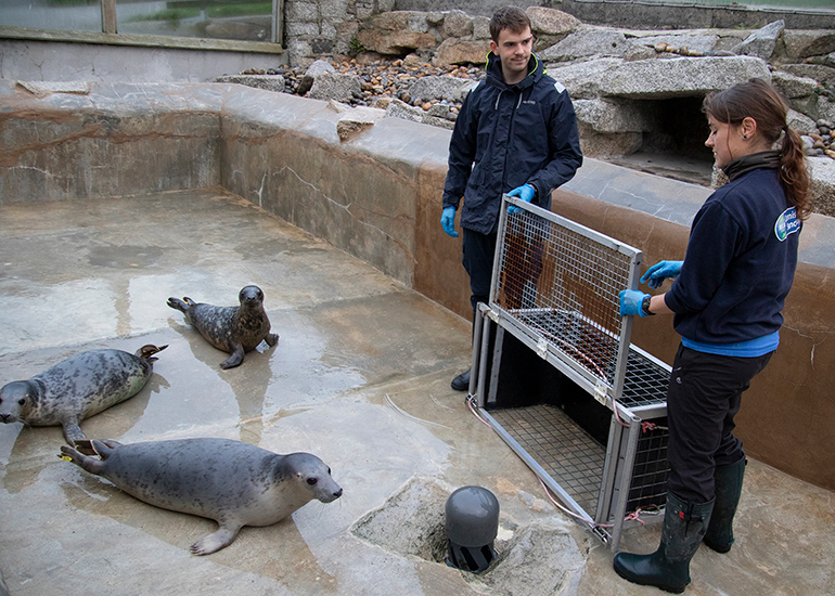 Seal Release - 18th November 2025