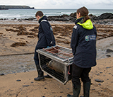 Seal Release - 19th November 2025