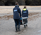 Seal Release - 19th November 2025