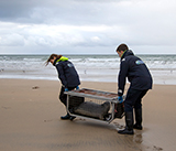 Seal Release - 19th November 2025