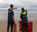 Seal Release - 19th November 2025