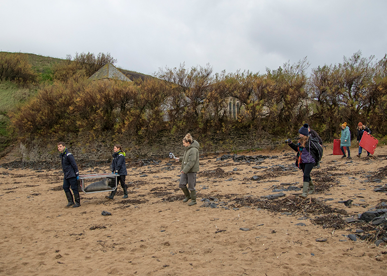 Seal Release - 18th November 2025