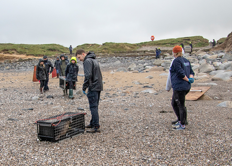 Seal Release - 19th January 2026