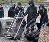 Seal Release - 19th  January 2026