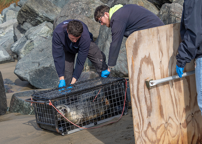 Seal Release - 23rd March 2026