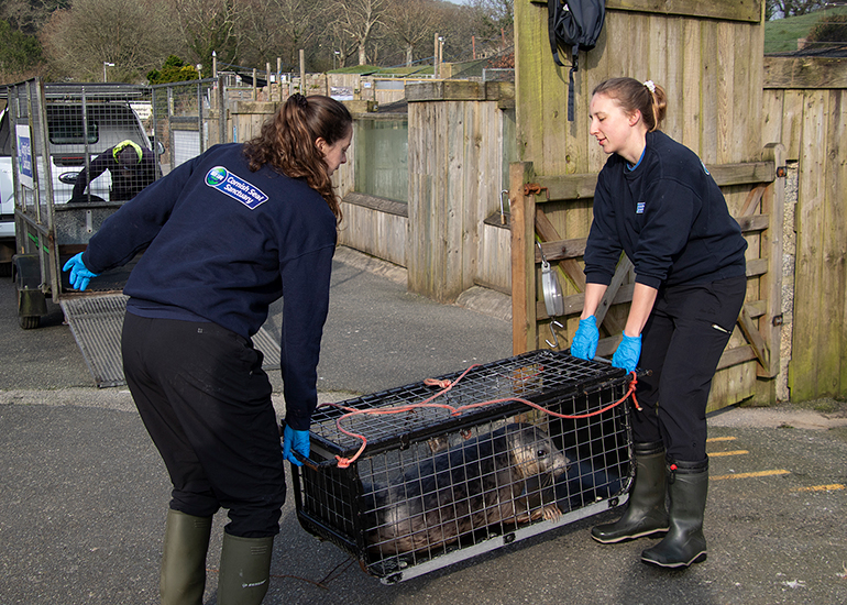 Seal Release - 23rd March 2026
