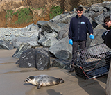 Seal Release - 23rd March 2026