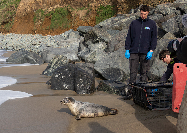 Seal Release - 23rd March 2026
