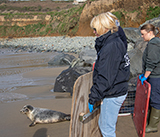 Seal Release - 23rd  March 2026