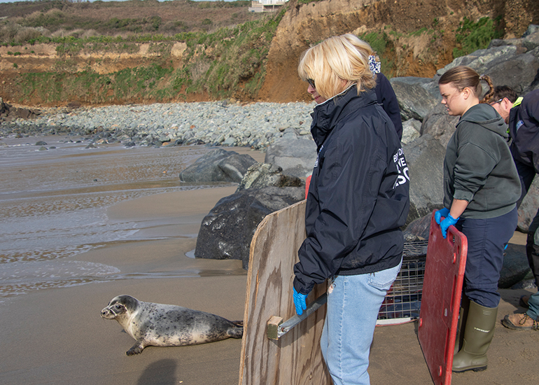 Seal Release - 23rd March 2026