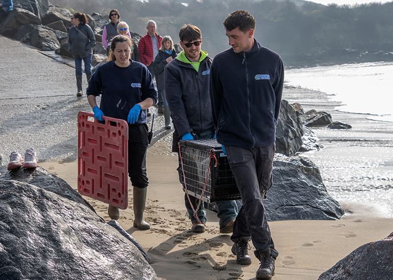 Seal Release - 23rd March 2026