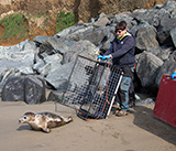 Seal Release - 23rd  March 2026