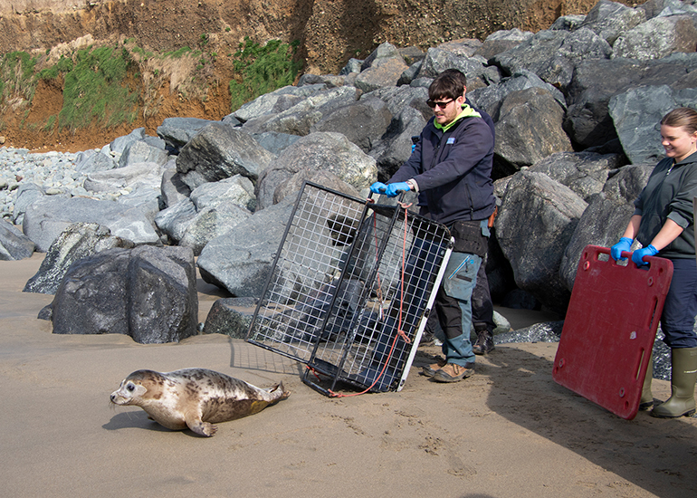 Seal Release - 23rd March 2026