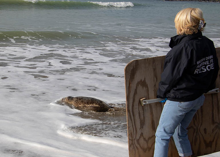 Seal Release - 23rd March 2026