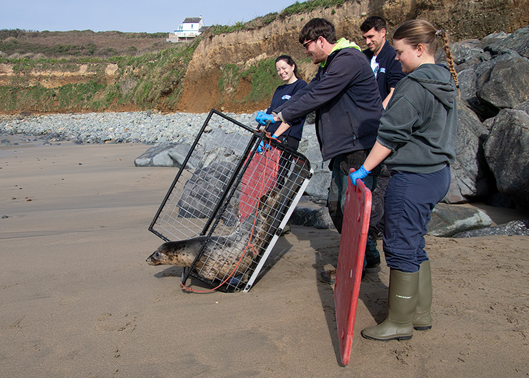 Seal Release - 23rd March 2026