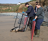 Seal Release - 23rd  March 2026