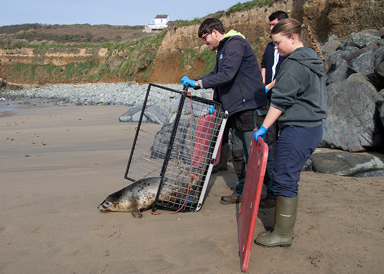 Seal Release - 23rd March 2026