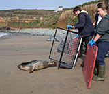 Seal Release - 23rd  March 2026