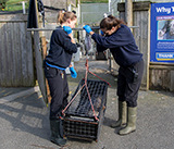 Seal Release - 23rd March 2026