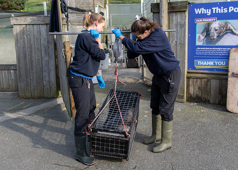 Seal Release - 23rd March 2026