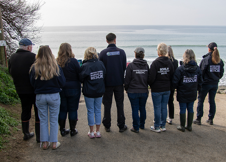 Seal Release - 23rd March 2026