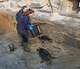 Seal Release - 23rd March 2026