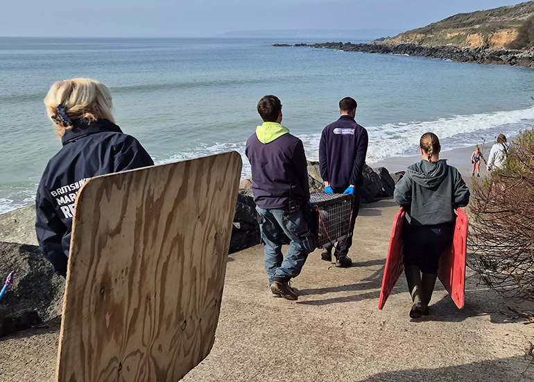 Seal Release - 23rd March 2026