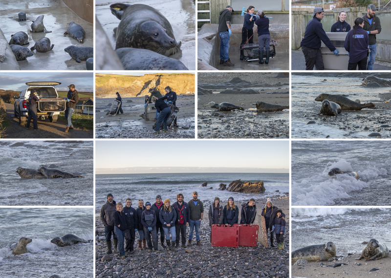 Seal Release - 23rd December 2025