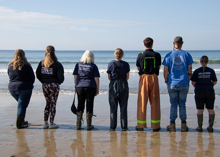 Seal Release - 27th April 2026