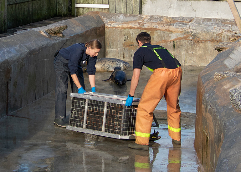 Seal Release - 27th April 2026