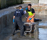 Seal Release - 27th  April  2026