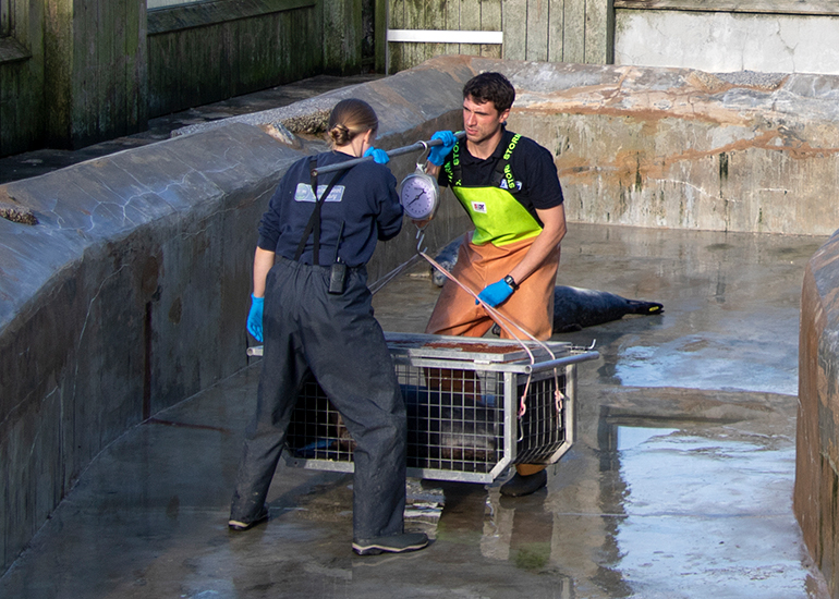 Seal Release - 27th April 2026