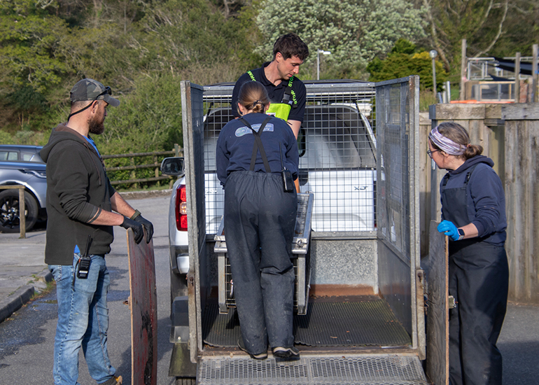 Seal Release - 27th April 2026
