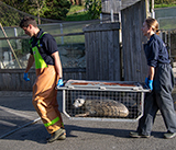 Seal Release - 27th  April  2026