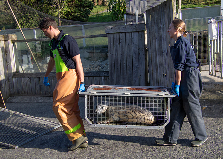 Seal Release - 27th April 2026