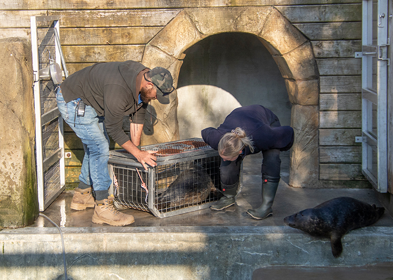 Seal Release - 28th April 2026
