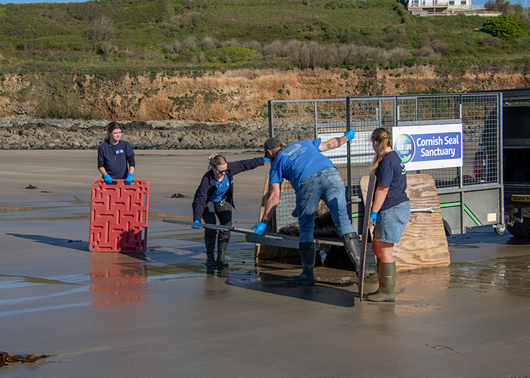Seal Release - 28th April 2026