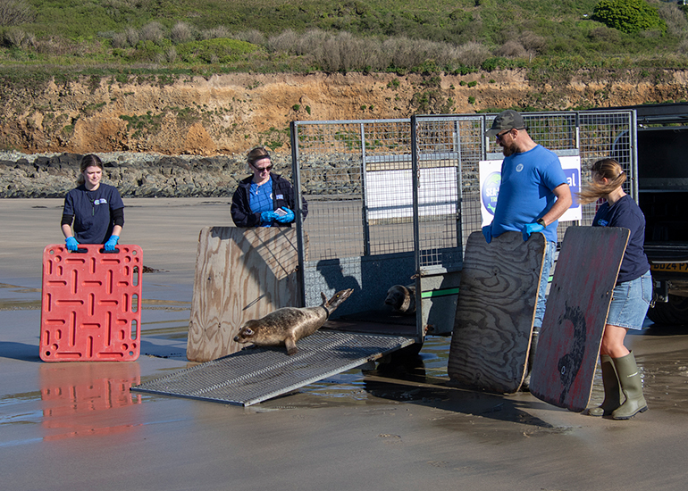 Seal Release - 28th April 2026