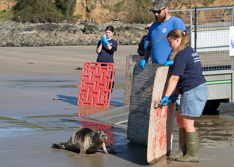 Seal Release - 28th April 2026