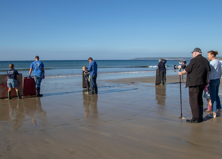 Seal Release - 28th April 2026