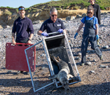 Seal Release - 30th April 2025