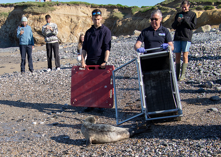 Seal Release - 30th April 2025
