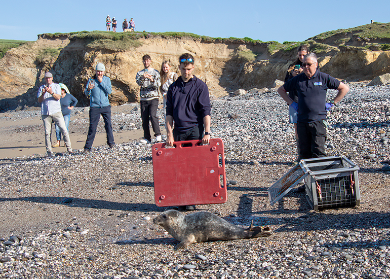 Seal Release - 30th April 2025