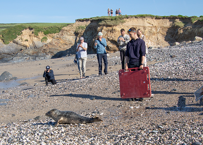 Seal Release - 30th April 2025